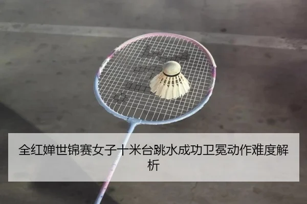 全红婵世锦赛女子十米台跳水成功卫冕动作难度解析